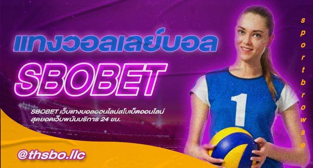 เล่นพนันวอลเลย์บอล สอนแทงกีฬาวอลเลย์บอล สำหรับมือใหม่ ในเว็บ SBOBET